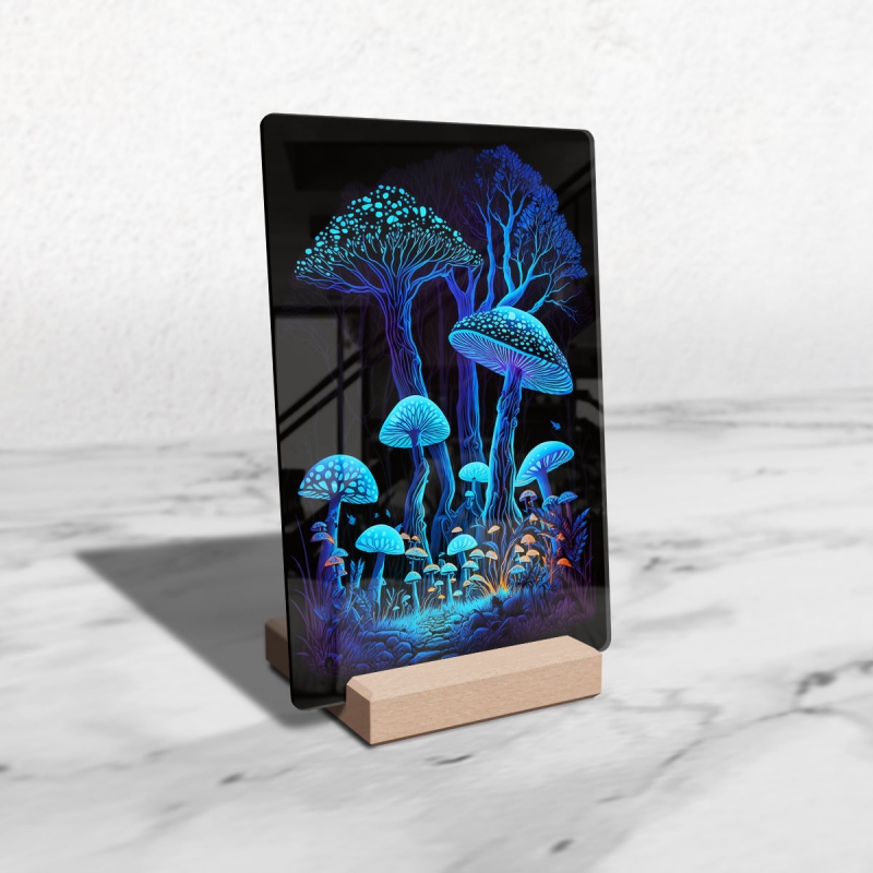 Akrylové sklo Kouzelné houby