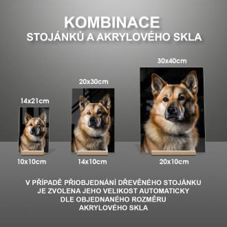 Norský buhund realistic