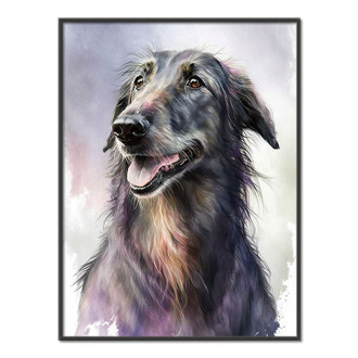 Skotský deerhound akvarel