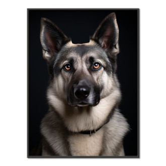 Norský elkhound realistic