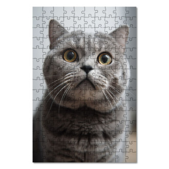 Dřevěné puzzle Skotská klapouchá kočka realistic