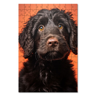 Dřevěné puzzle Portugalský vodní pes realistic