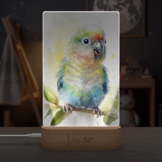 Lampa Akvarelový papoušek